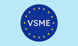 VSME logo