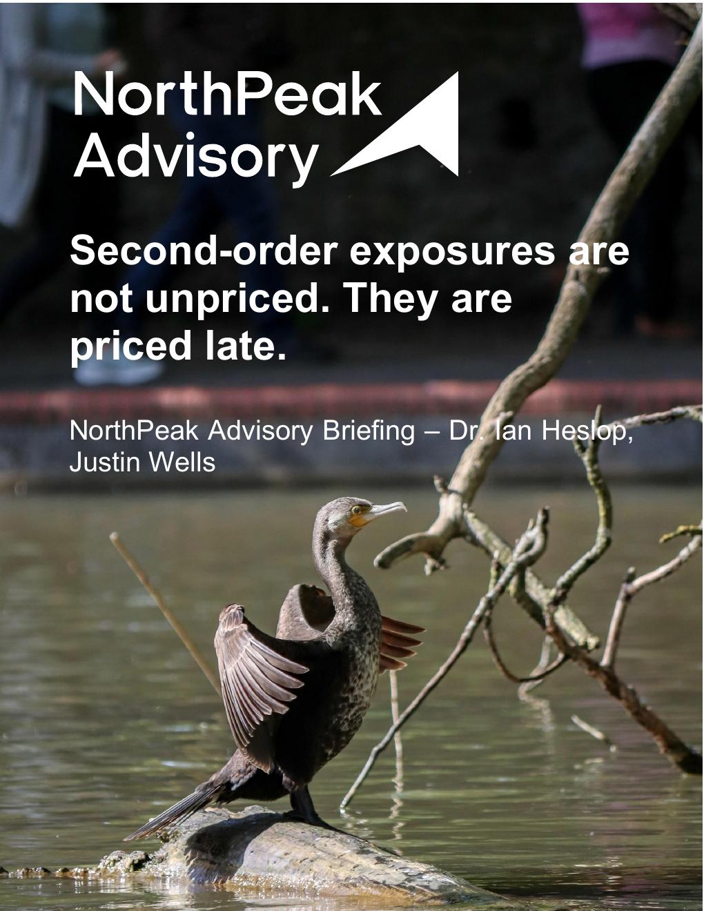 Cover of the NorthPeak Advisory white paper: a cormorant drying its wings on a rock